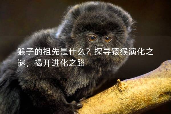 猴子的祖先是什么？探尋猿猴演化之謎，揭開進(jìn)化之路